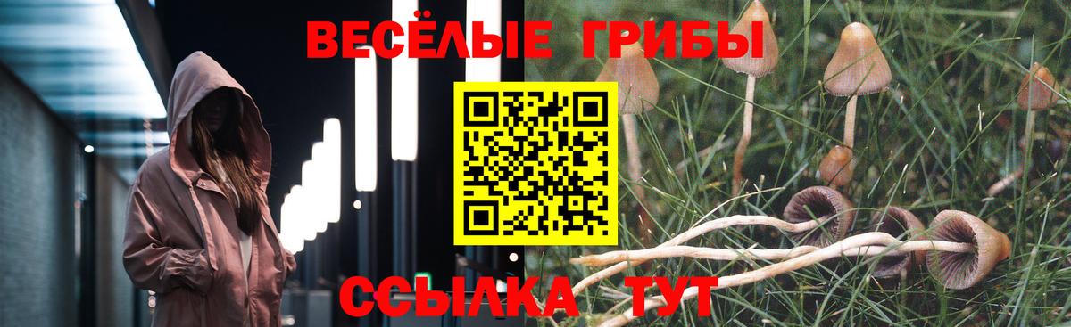Камышлов  Псилоцибиновые грибы Cubensis  Вход с VPN 
